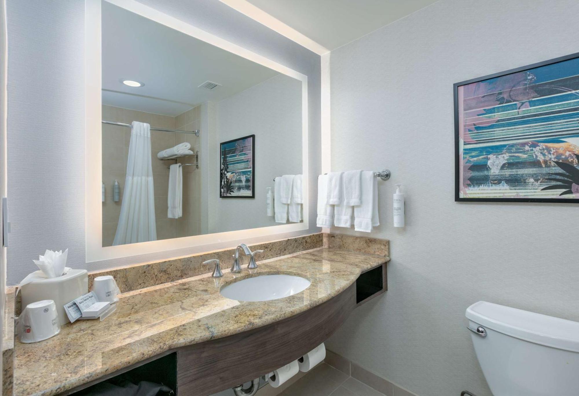 Hilton Garden Inn Dallas Arlington Extérieur photo
